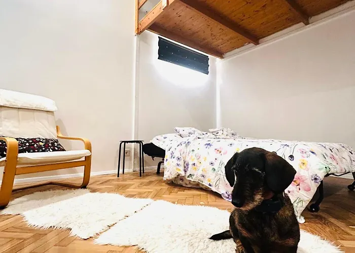 Cozynest In Center * Budapest