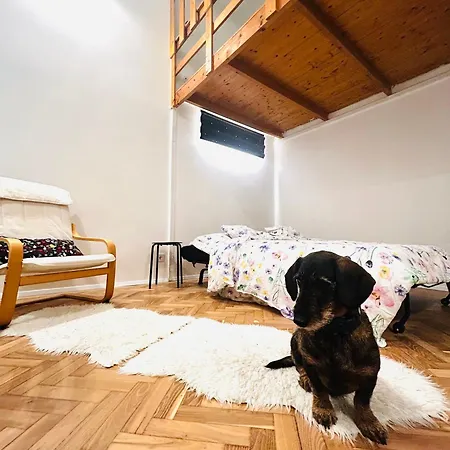 New! Heritage Heaven In The Center * Budapest